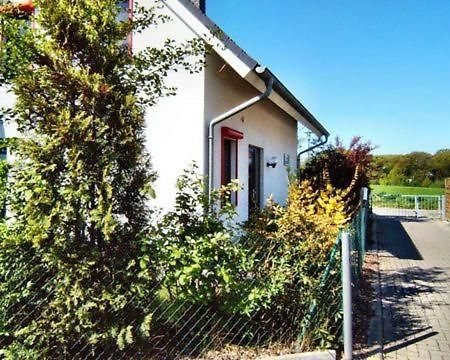 Seestern Kaltenhof Exteriör bild